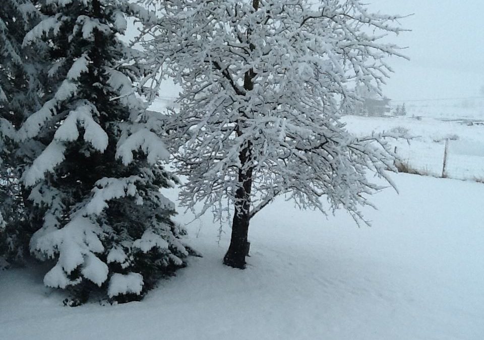 Snow Day Fun with Kids