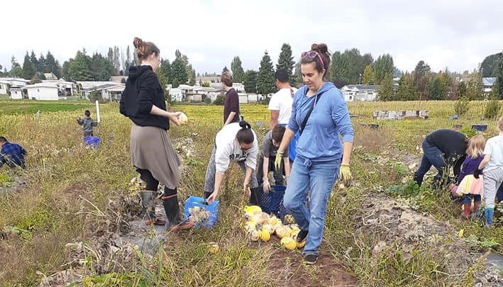 Fall Harvest Benefits Local Food Bank